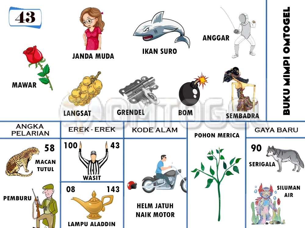 buku mimpi erek erek togel 43